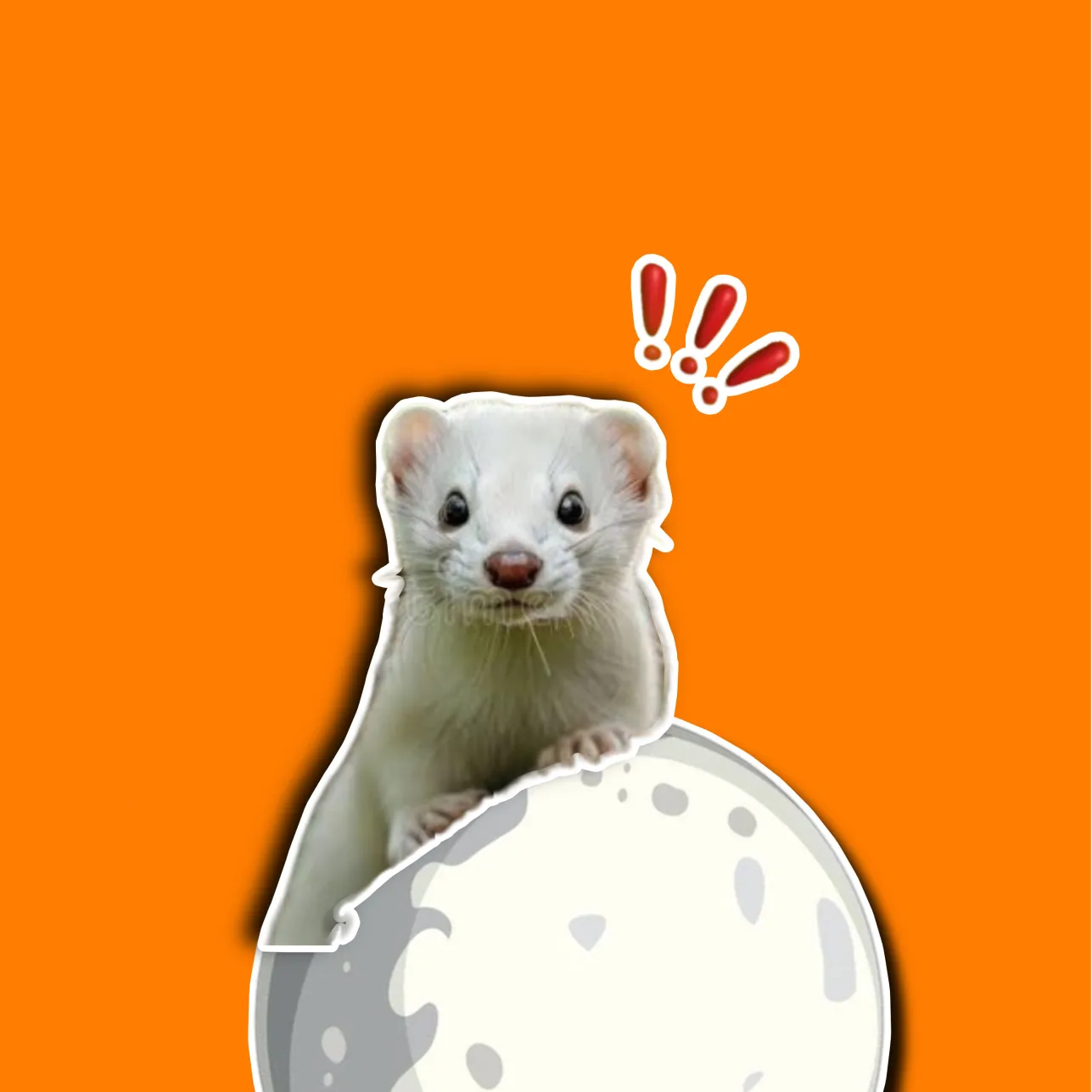 moononbonk.fun favicon